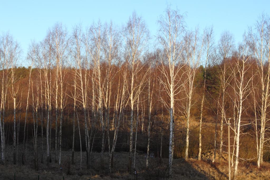 Forest Apartment Palanga Exterior photo